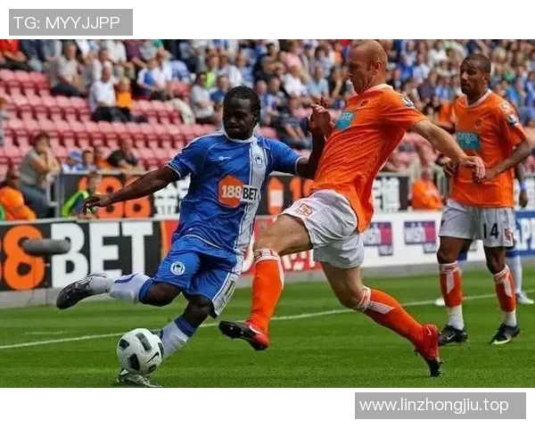 体育赛事票价调查与分析：不同赛事类型与地区票价差异探讨